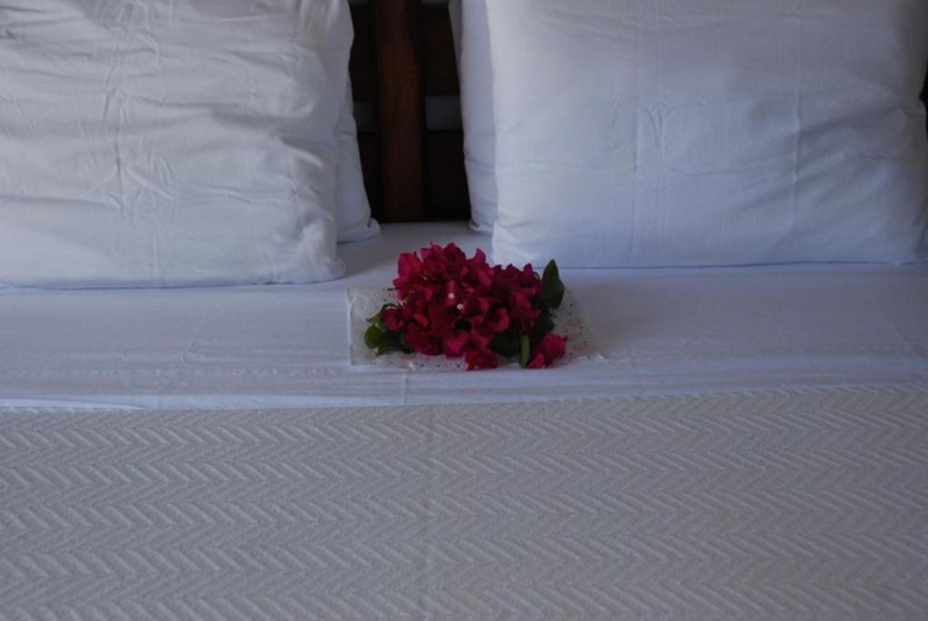 פורט אנטוניו Tranquility Villa חדר תמונה